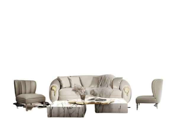 Designer Furniture Set